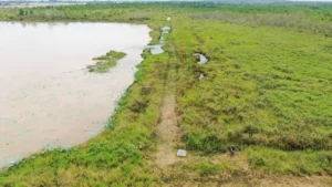 claydyke_taken-on-8sept2021